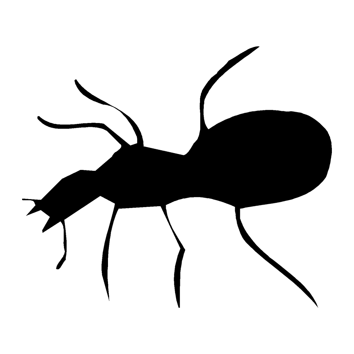 Silueta negra de hormiga sobre fondo blanco
