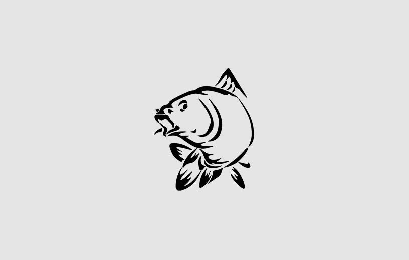 CARP - Sticker Paradise LF