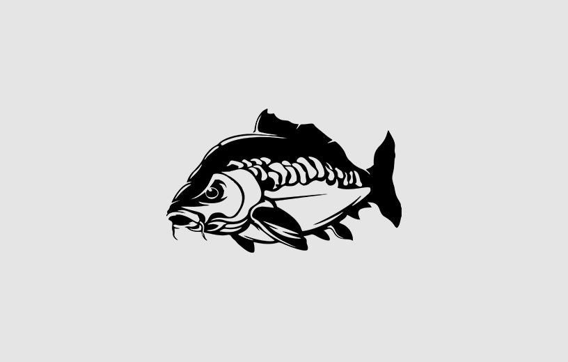 CARP - Sticker Paradise LF